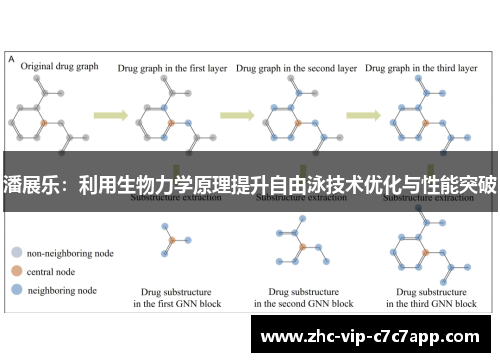 潘展乐：利用生物力学原理提升自由泳技术优化与性能突破