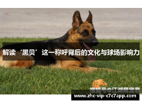 解读‘黑贝’这一称呼背后的文化与球场影响力